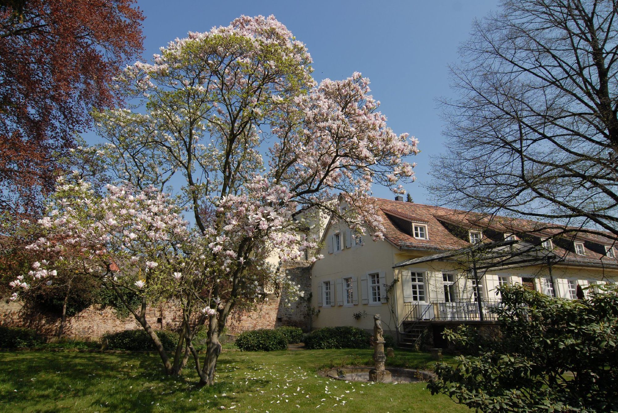 Hotel Ketschauer Hof Deidesheim Zewnętrze zdjęcie